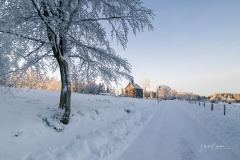 Altastenberg_Winter_12