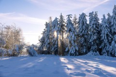 Altastenberg_Winter_2022-27