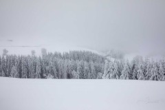 Altastenberg_Winter_2022-38