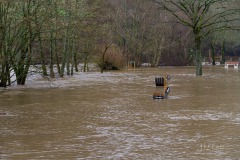 Lenne-Hochwasser-050