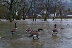 Lenne-Hochwasser-071