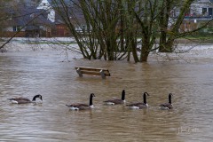 Lenne-Hochwasser-078