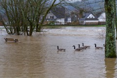 Lenne-Hochwasser-080