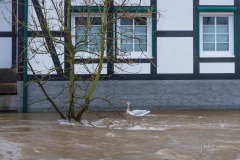 Lenne-Hochwasser-091