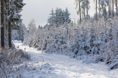 Winter_Schmallenberger_Sauerland_0005
