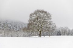 Winter_Schmallenberger_Sauerland_0044