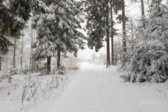 Winter_Schmallenberger_Sauerland_0072