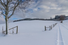 Winter_Schmallenberger_Sauerland_0146