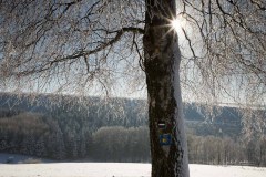 Winter_Schmallenberger_Sauerland_0171