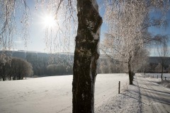 Winter_Schmallenberger_Sauerland_0174