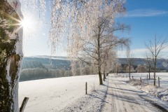 Winter_Schmallenberger_Sauerland_0175