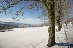 Winter_Schmallenberger_Sauerland_0178
