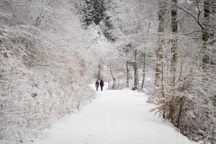Winter_Schmallenberger_Sauerland_0188