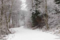 Winter_Schmallenberger_Sauerland_0190