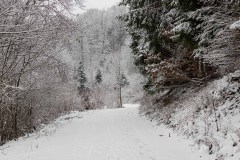 Winter_Schmallenberger_Sauerland_0194
