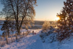 Winter_Schmallenberger_Sauerland_0216