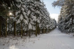 Winter_Schmallenberger_Sauerland_0261