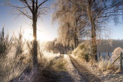Winter_Schmallenberger_Sauerland_0269