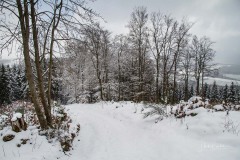 Winter_Schmallenberger_Sauerland_0301
