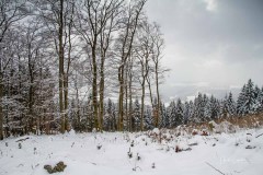 Winter_Schmallenberger_Sauerland_0302
