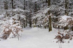 Winter_Schmallenberger_Sauerland_0303