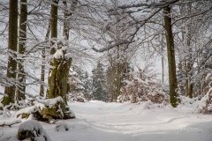 Winter_Schmallenberger_Sauerland_0304