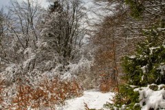 Winter_Schmallenberger_Sauerland_0308
