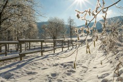 Winter_Schmallenberger_Sauerland_0317