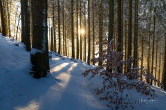 Winter_Schmallenberger_Sauerland_0420