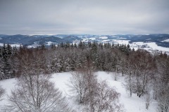 Wizenberg-im-Winter-08