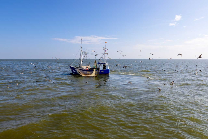 Krabbenkutter DAN 1 auf der Nordsee bei Dangast